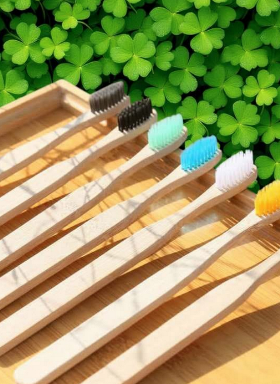 BAMBOO Brush #k005